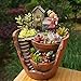 Plant Pot, Hgrope Mini Size Creative Fairy Garden Plant Containers, Hanging Garden Design with Sweet House for Flowers and Plants