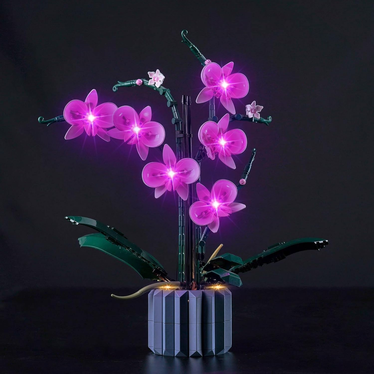 Kyglaring LED Lighting Kit Compatible with Lego Botanicals Orchid 10311 Building Blocks, Lighting Accessories for Flowers Lego Botanicals 10311 Model Set,Not Model (10311 Remote Control Edition) — image 1