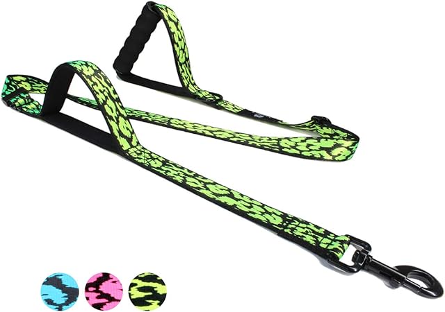 2 handle dog leash