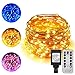 ErChen Dual-Color LED String Lights, 66 FT 200 LEDs Plug in Copper Wire Color Changing 8 Modes Dimmable Fairy Lights with Remote Timer for Indoor Outdoor Christmas (Blue/Warm White)