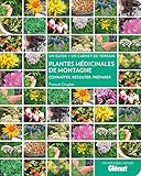 Image de Plantes médicinales de montagne