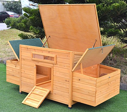 How To Raise Ducks The Love Of A Duck Outsidemodern