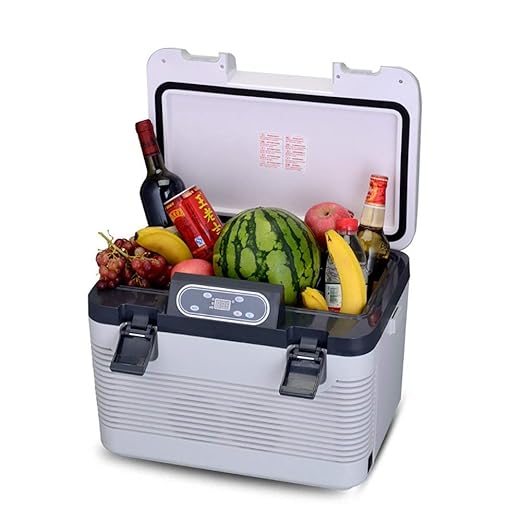 FDY Mini Nevera Enfriador y Calentador Eléctrico - 12V / 24V ...