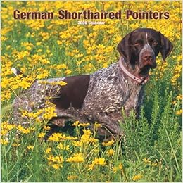 German Shorthaired Pointers 2008 Square Wall Calendar German
