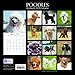 2019 Wall Calendar - Poodle Calendar, 12 x 12 Inch Monthly View, 16-Month, Dogs and Pets Theme, Includes 180 Reminder Stickers