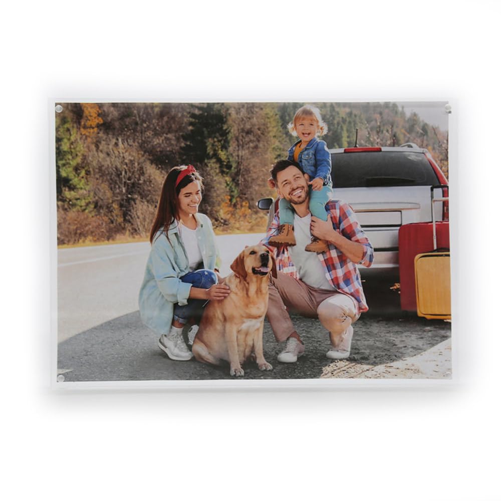 TRIXES A4 Acrylic Photo Frame - Magnetic Multi-Purpose Glass Effect Picture Frame Perfect to Display on Your Desk or Stand on Your Sideboard or Rest on the Wall Shelf - 210 x 297mm