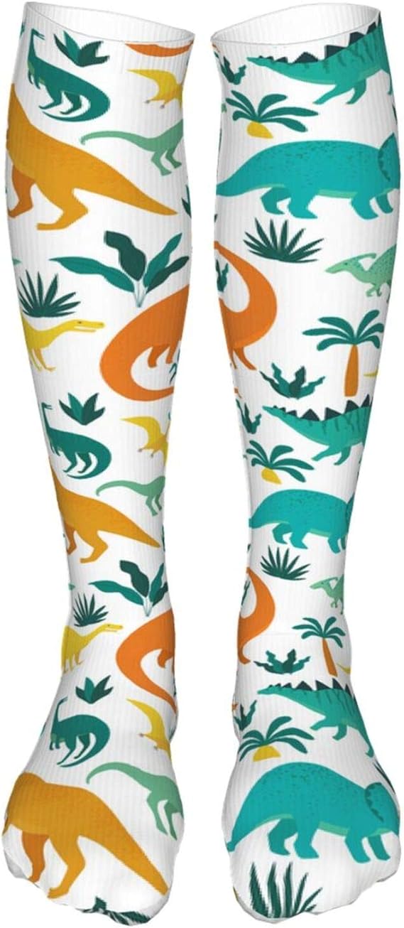 Funny Compression Socks Cute Colorful Dinosaur Knee High Socks For Women Circulation Amazon.ca
