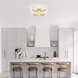 Comely Modern LED Ceiling Light 30W 3375LM 4500K Gold Floral Living Room view 8