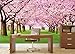 GREAT ART Large Photo Wallpaper – Cherry Blossom Tree – Picture Decorative Spring Landscape Avenue Cherry Blossoms Sakura Bloom Flowers Image Decor Wall Mural (132.3x93.7in - 336x238cm)