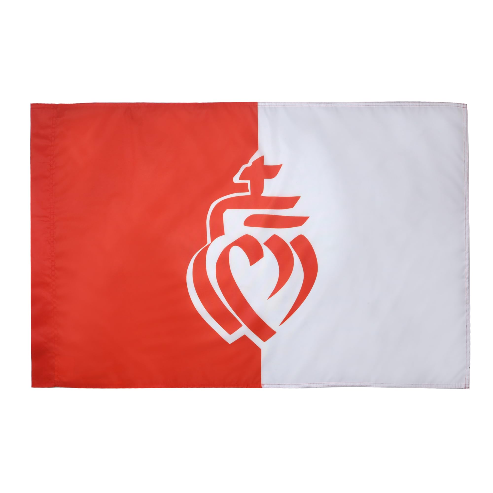 AZ FLAG - French Department of The Vendée Flag - 2x3 Ft - Vendée Banner with Sleeve - 100% Polyester - Fade Resistant - Vivid Colors - 2' x 3' Feet - 90x60 Cm