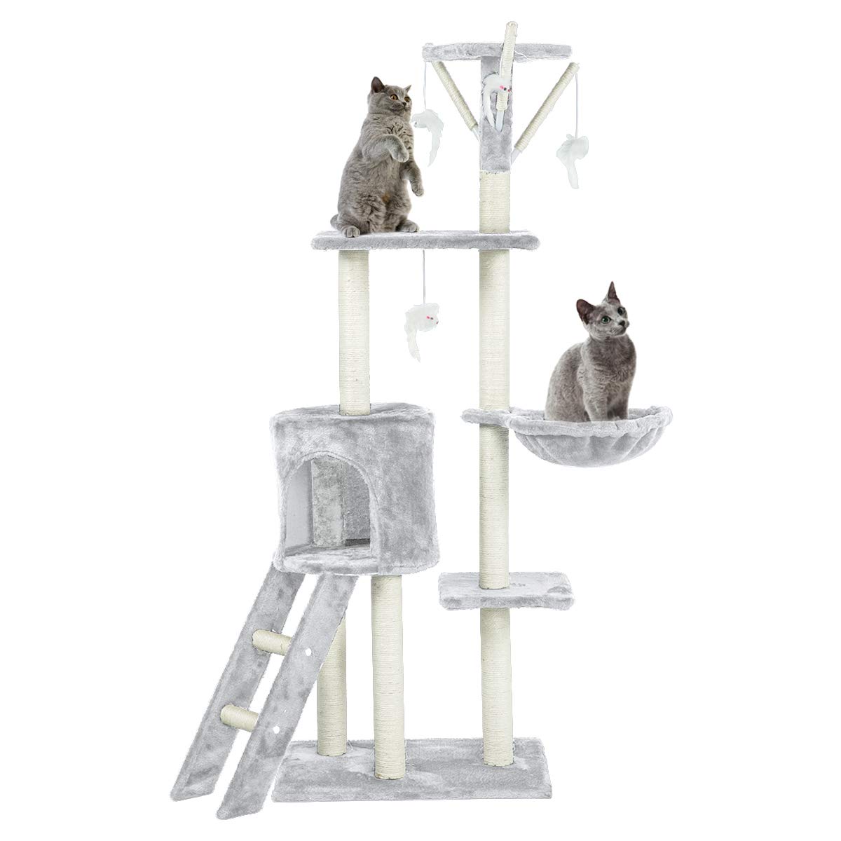 Best Kitten Ladder