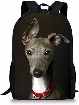 greyhound send luggage