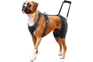 Dog Hip Support Brace for Hip Dysplasia, Hip Joint Pain, Hip Brace for Dogs with Low Back Pain/Weakness, Warm Hip for Front &