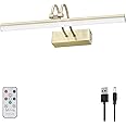 RAIFOOLLY Picture Light, 13in Battery Operated Picture Lights for Paintings,Metal Remote Display Art Light with Timer and Dimmable for Wall Painting,Frame, Portrait, Dartboard(Antique Brass)
