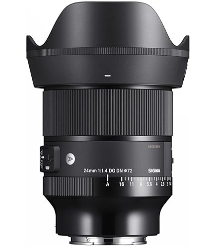 SIGMA 24mm F3.5 DG DN ソニーEマウント Amazon.com : Sigma 24mm F3.5 DG DN for Sony E Mount