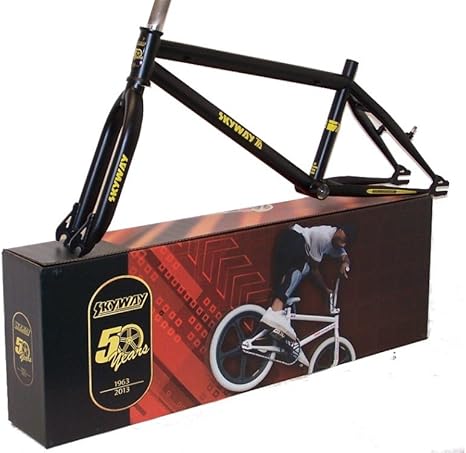 skyway frame and forks