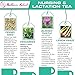 Nursing & Lactation Tea by Mother's Select for Rapid Natural Breast Milk Increase - For Breastfeeding and Lactating Moms
