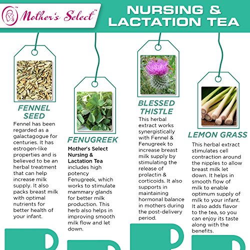 Mother’s Select Nursing & Lactation Tea Increase Breast Milk Supply, All Natural, Caffeine