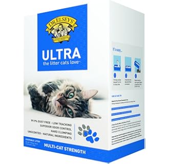 amazon best cat litter