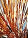 ShiDianYi Metallic Foil Fringe-Backdrops-Rose Gold-6FTX8FT Tinsel Party/Window/Door Decorative Fringe Curtains(Pack of 2) (Rose Gold)