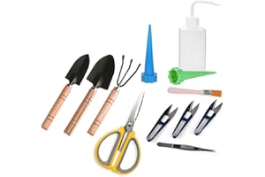 ZELARMAN Bonsai Tools Kit Set- Succulent Mini Garden Tools for Bonsai Tree Pruning Trimming Watering（Green，12 Pcs）
