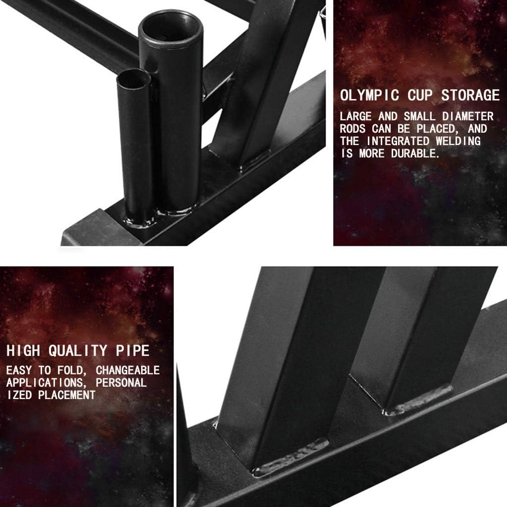 Delarsy Dumbbell Weight Rack Storage Stand Home Workout Gym Sports Strength Training Dumbbell Racks (Large) : Sports & Outdoors