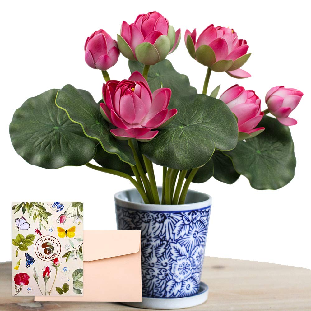 Photo 1 of SNAIL GARDEN 2 Bouquets Artificial Lotus Flowers, Real-Touch Water Lily Simulation Tabletop Flower for Party, Home Office Arrangements Indoor Outdoor Decoration