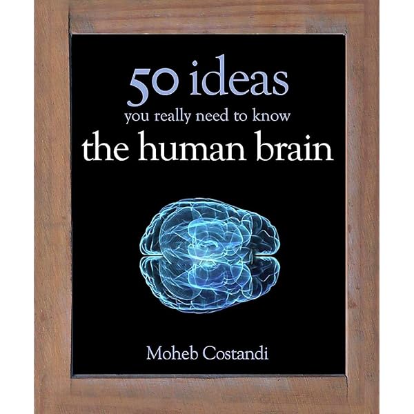 50 Human Brain Ideas You Really Need to Know (50 Ideas You Really