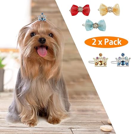 accesorios perros amazon