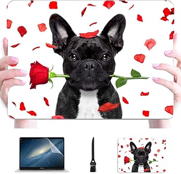 french bulldog accessories amazon
