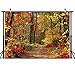 LYWYGG Autumn Scenery Deciduous Background 7x5ft Vinyl Deciduous Mountain Road Photography Backdrop Tree and Yellow Fall Leaves View Background Studio Props CP-67 primary