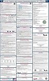 2017 South Carolina State and Federal Labor Law Poster - Laminated 24