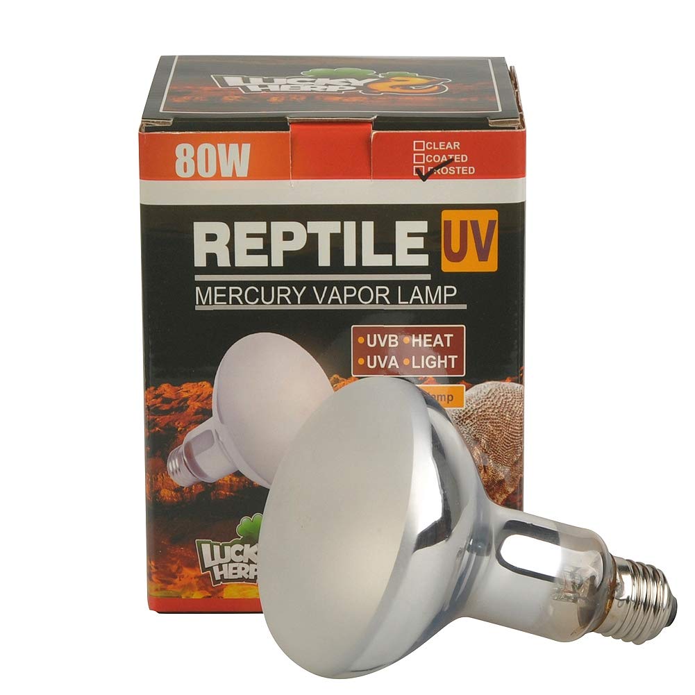 LUCKY HERP Reptile UVA UVB Mercury Vapour Bulb Lamp,80 Watt,R95,E27 Screw Thread,Six-Month Guarantee (Frosted)