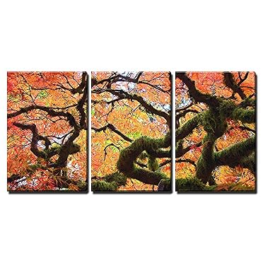3 Piece Canvas Wall Art - Gnarly Ja - Canvas Art