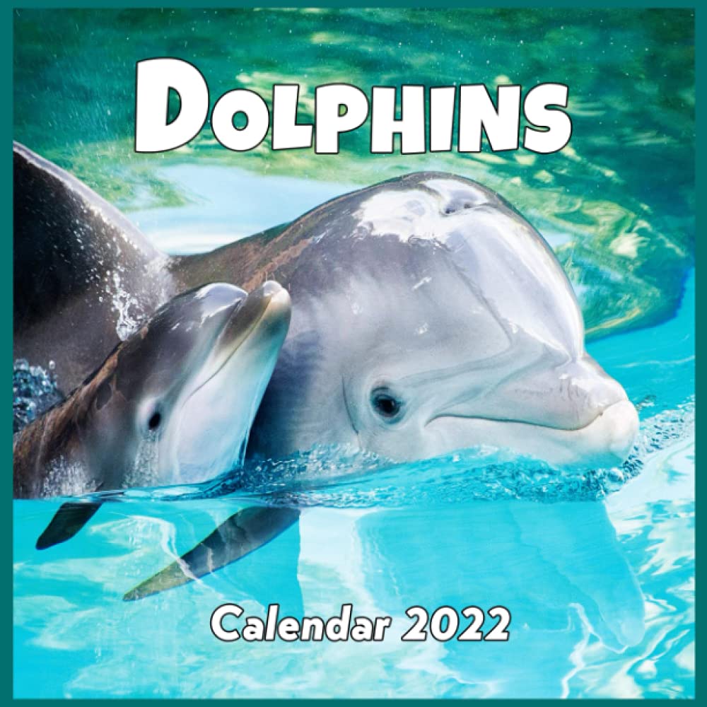 Dolphin Schedule 2022 Dolphins Calendar 2022: Cute And Funny Animal Calendar 2022-2023, Monthly  Square Calendar 2022, Great Gifts For Dolphin Lover, 16 Month Calendar 2022:  Amazon.co.uk: Publisher, Julia: 9798485517915: Books