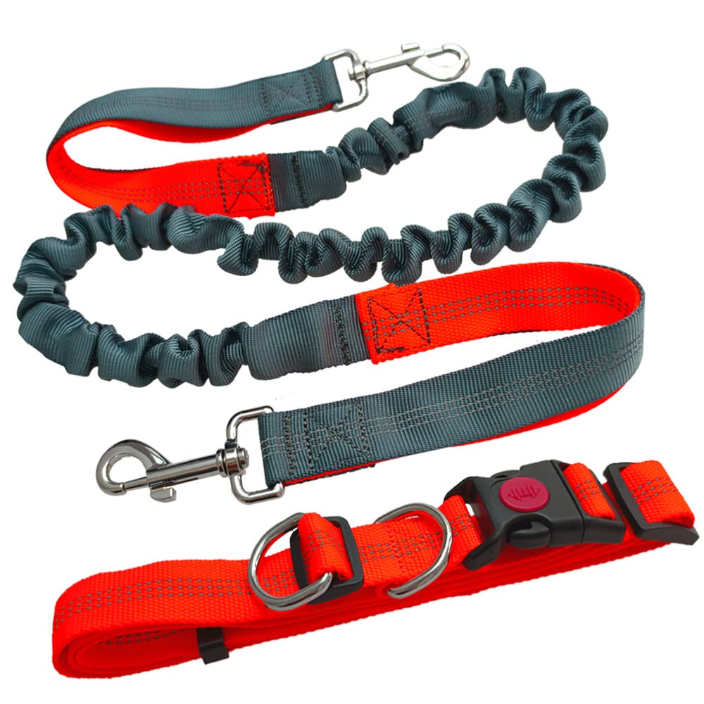 Aiqeer Hands Free Dog Leash, Orange & Grey, Adjustable Waist Belt (70-130 cm), Retractable Bungee Leash (130-180 cm), Reflective Stitching