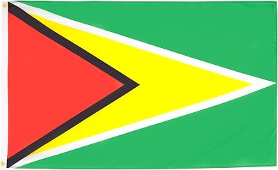AZ FLAG Guyana Flag 2x3 ft 100D Polyester with 2 Brass Eyelets Fade Resistant