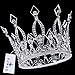 FUMUD Imperial Medieval 3.9inch Crowns Full Rould Gold/Silver Tiaras For Women Clear Crystal Pageant Party Costumes Diadem Hair Jewelry (Silver ) by FUMUD Jewelry