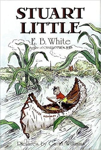 Stuart Little By E B White 1973 05 03 Amazon Com Books