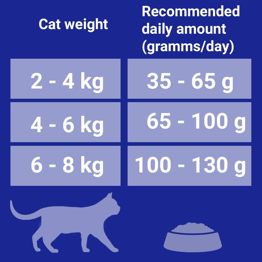 Purina ONE Adult Dry Cat Food Chicken & Wholegrains 800g, red, 0.2 g (Pack of 4) - Image 5
