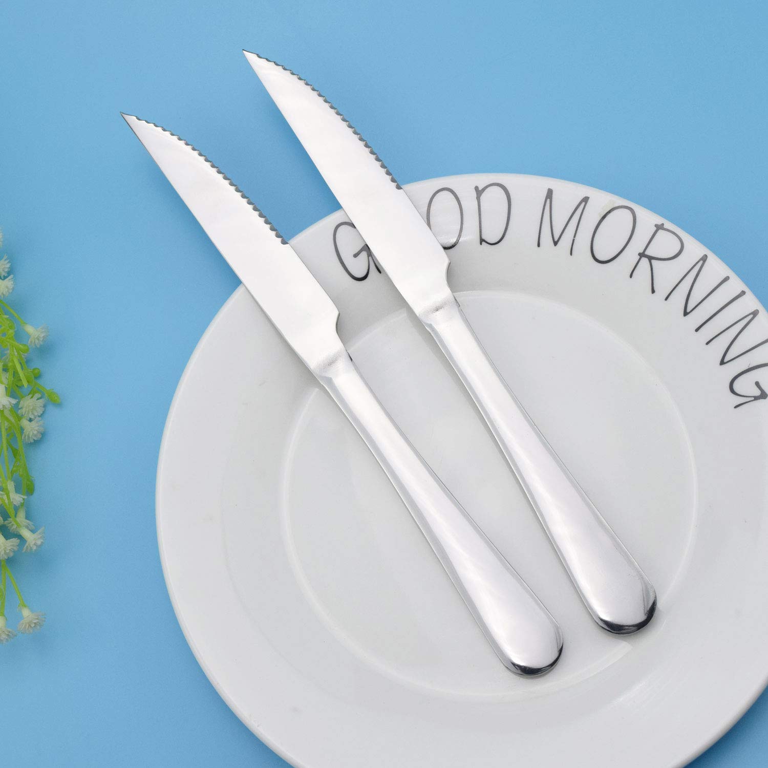 TaNaT Steak Knives Tableware Dinner Knife Set of 12 Serrated Stainless Steel Heavy-Duty 9 Inch Flatware Set