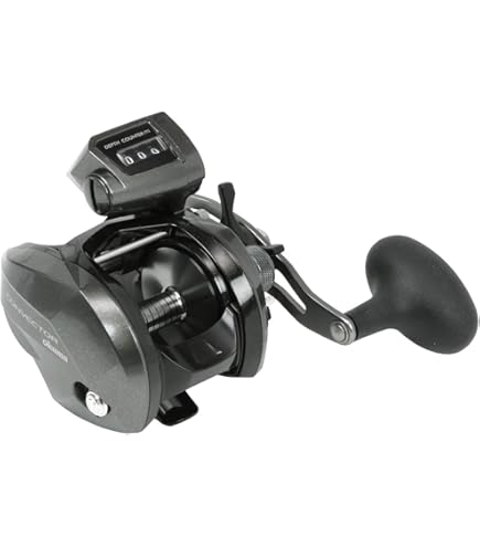 Amazon.com: Daiwa SLP Works SLPW EX LT Spool 1000SS Spinning Reel