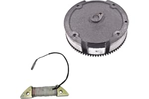 Supermotorparts GX160 GX200 5.5HP 6.5HP Flywheel Ring Gear With Magnets Charging Coil For Honda