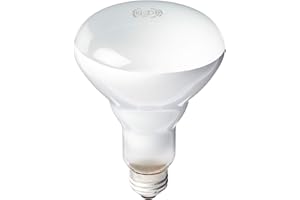 PHILIPS 408662 Soft White 65-watt Br30 Indoor Flood Light Bulb, 4 Count (Pack of 1)