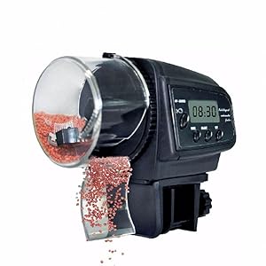 fish autofeeder