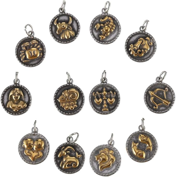 EXCEART Zodiac Charms Round Zodiac Sign Charms Stainless Steel 12