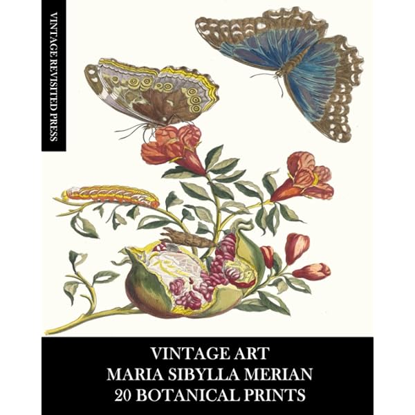 New Book of Flowers/Neues Blumenbuch (German and English Edition