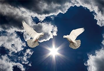 Amazon Com Leowefowa Christian Backdrop For Church Sanctuary Decor 7x5ft Vinyl Heaven Dazzling Sunshine Blue Sky White Clouds Doves In The Air Background Religious Christianity Photo Props Jesus Church Wallpaper Camera