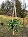 Plant Hanger Holders Large for Indoor and Outdoor Jute Rope 48 Inch