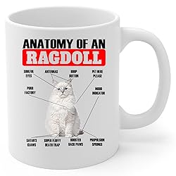 Lovesout Funny White Ragdoll Cat Anatomy Chart